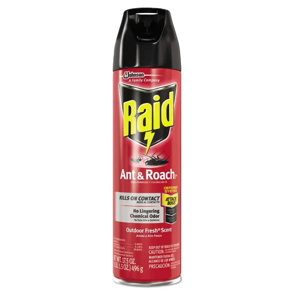 Raid Ant & Roach Outdoor 12/17.5oz