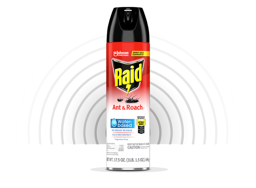 [1900-SJ-04321A] Raid Ant & Roach Killer 26 Water Based D13 6/17.5oz